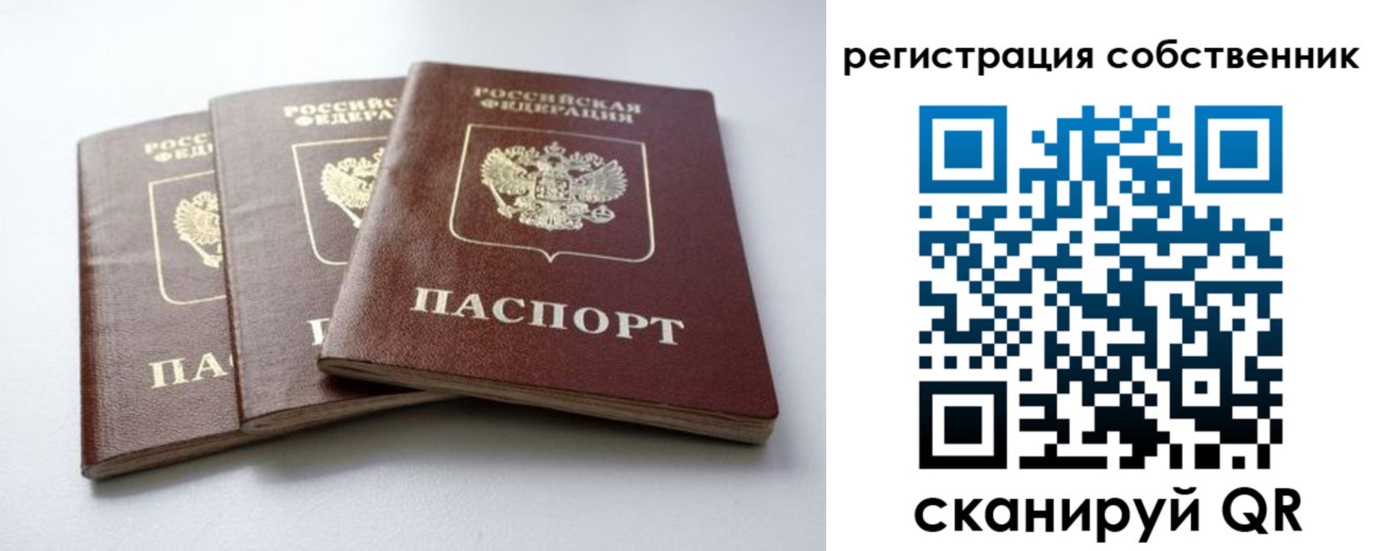прописка для школы в Узловой